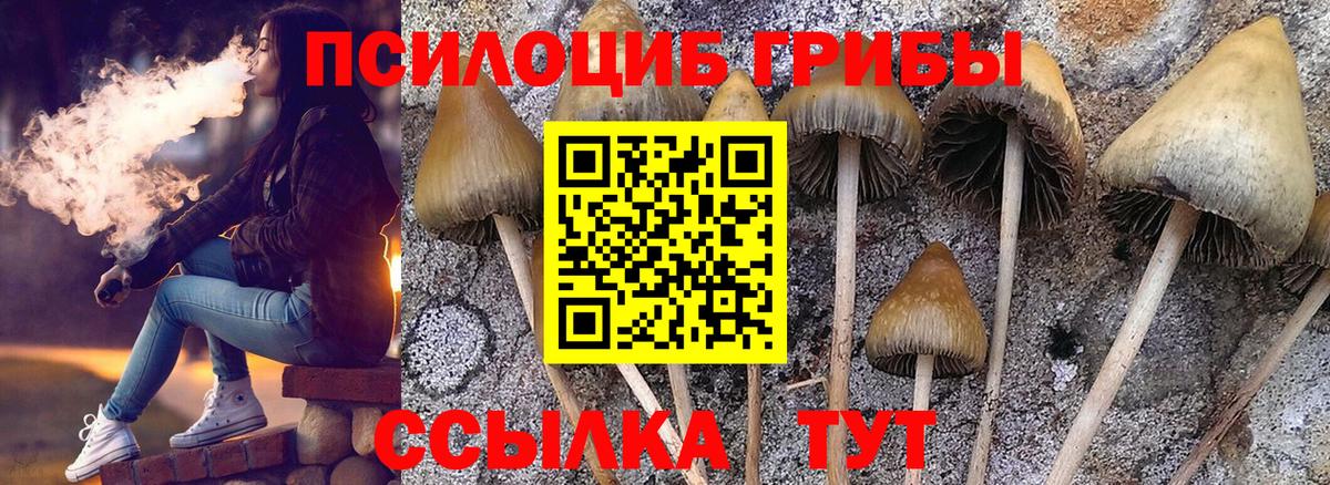 Галлюциногенные грибы MAGIC MUSHROOMS Сергиев Посад